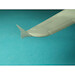 Airbus A320 winglets (Heller)  LAC125007