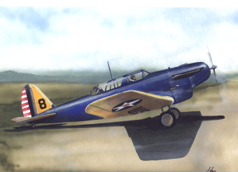 Consolidated A11 Attack plane 4814