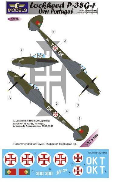 Lockheed P38G-1 Lightning over Portugal C3228