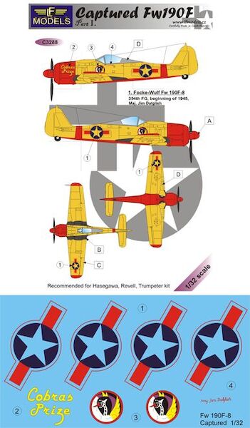 Captured Focke Wulf FW190F Part1  C3288