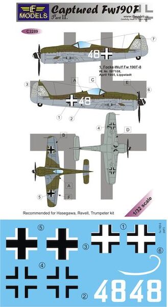 Captured Focke Wulf FW190F Part2 C3289