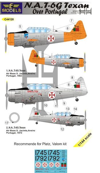 NA T6G Texan over Portugal C44120