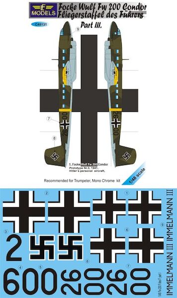 Focke Wulf Fw200 Condor (Fliegerstaffel des Fuhrers Part 3)  c48131