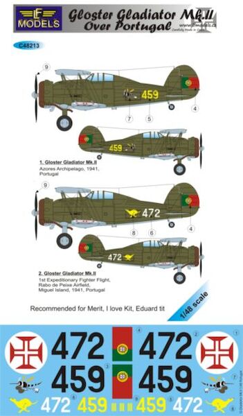 Gloster Gladiator MKII over Portugal c48213