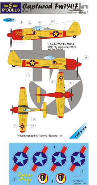 Captured Focke Wulf FW190F part 1  c4837