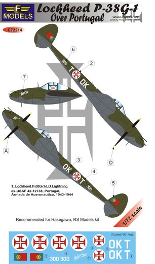 Lockheed P38G-1 over Portugal  c72214