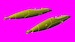 DEFA 30mm cannons for Macchi MB326 LF3D7235