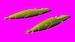 DEFA 30mm cannons for Macchi MB326 LF3D7235
