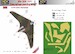 Horten Ho 229 Part 2. Camouflage Painting Mask Green 2-color camo LFM72157