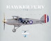 Hawker Fury 24-07