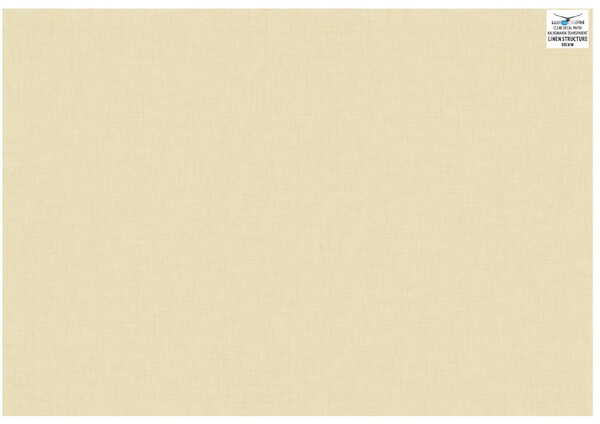 Bleached linen structure LG32-DEC008