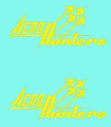 Acro Hunters Aerobatic Team Nose Emblems For Hawker Hunter Mk.4  D3201