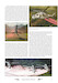 Tygri a Hroši v Perov / Tigers and Hippos in Prerov  9788089169863
