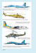 Ukrainian and Baltic wings 1918-2022  UBWings