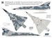 Mirage III & 5 'Canards' (Brasilian, Chilean, Swiss & Belgian AF) MKM144168L