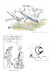 First 100 years are tough: about 100 year aviation and KLM  9789490008208