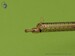 German WW I machine gun Spandau LMG 08/15 (2pcs) AM-32-023