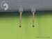 Japanese Type 99 20mm Mark 2 gun barrels (4pcs) AM-48-021