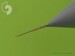 Panavia Tornado Pitot Tube & Angle Of Attack probes AM-48-032