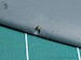 Spitfire MKIa/IIa/Va Browning .303 barrel tips (Eduard) AM-48-164