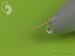 BAe Hawk T.1 - Pitot Tube AM-72-020