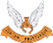 SAAF No 3sq Badge mav480003