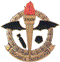 SAAF No 34sq Badge  48-034