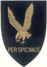 SAAF No 42sq Badge  48-042