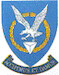 SAAF No 60sq Badge mav480060