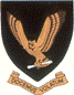 SAAF No 86sq MEFS Badge  48-086
