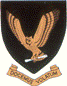 SAAF No 86sq MEFS Badge 48-086