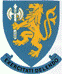 SAAF No 89 Combat Flying School Badge 48-089
