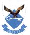 SAAF TFDC Badge 48-100