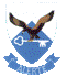 SAAF TFDC Badge  48-100