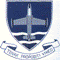 SAAF No 85sq Jet FS Badge  48-285