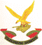 SAAF No 7sq Badge 72-007