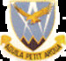 SAAF No 15sq Badge mav720015