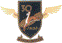 SAAF No 30sq Badge  72-030