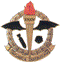 SAAF No 34sq Badge 72-034