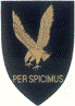 SAAF No 42sq Badge 72-042