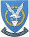 SAAF No 60sq Badge mav720060