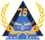 SAAF 75 year Badge 72-102