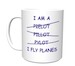 I Fly Planes: I am Pilot 
