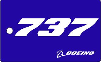 Bagagetag with 737 on one side and writable backside, including metal wire BAGTAG 737