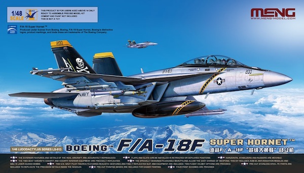 Boeing F/A-18F Super Hornet LS013