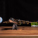 Antonov AN225 Mriya Antonov Design Bureau OFFICIAL EXCLUSIVE EDITION  MT001EE