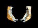 F3H-2M Demon Interior Detailing set (Hobby Boss) MD4848