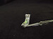 Harrier GR3, GR7, GR9 seat belts  MDP48019