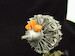 Pratt & Whitney R2800 engine  MDR3243