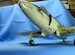 Supermarine Attacker FB2 Landing gear (Classic Airframe, Trumpeter) MDR48168